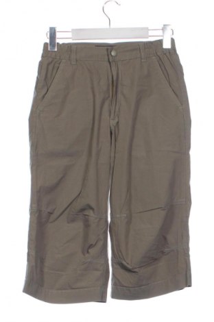 Dětské kalhoty  Campus, Velikost 10-11y/ 146-152 cm, Barva Zelená, Cena  266,00 Kč