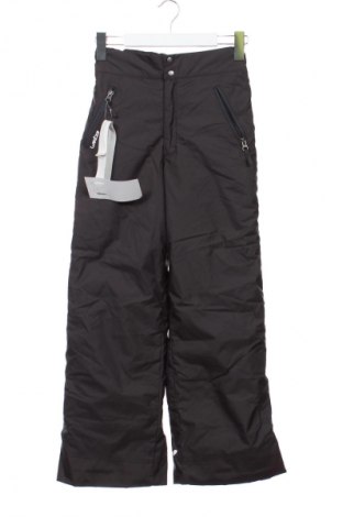 Pantaloni pentru copii pentru sporturi de iarnă Decathlon, Mărime 11-12y/ 152-158 cm, Culoare Gri, Preț 152,63 Lei