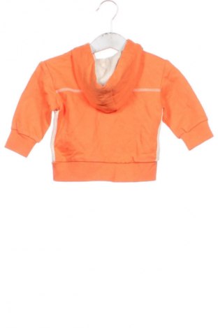 Detská mikina  Impidimpi, Veľkosť 3-6m/ 62-68 cm, Farba Oranžová, Cena  12,95 €