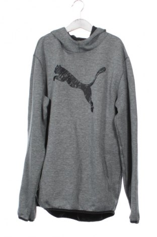 Kinder Sweatshirts PUMA, Größe 15-18y/ 170-176 cm, Farbe Grau, Preis € 20,99