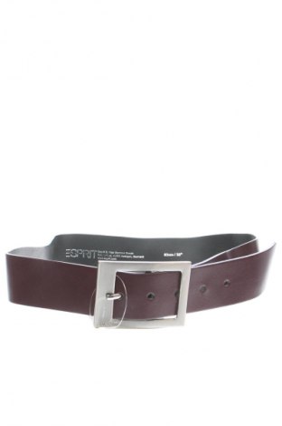 Opasok  Esprit, Farba Fialová, Cena  18,95 €