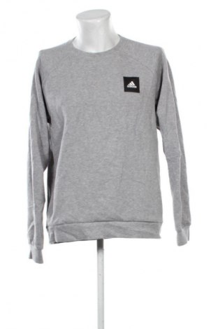 Ανδρική μπλούζα Adidas, Μέγεθος L, Χρώμα Γκρί, Τιμή 21,99 €