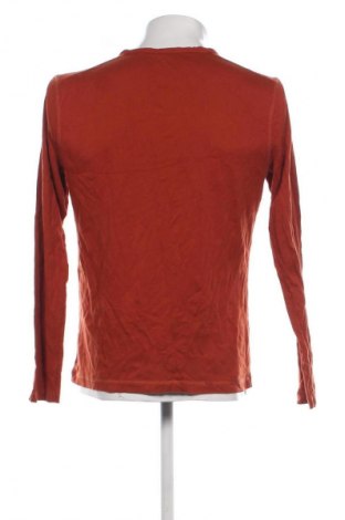 Ανδρική μπλούζα Angelo Litrico, Μέγεθος L, Χρώμα Καφέ, Τιμή 7,99 €