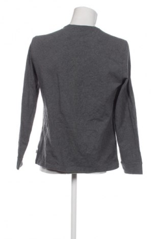 Męska bluzka Cerruti 1881, Rozmiar L, Kolor Szary, Cena 210,99 zł