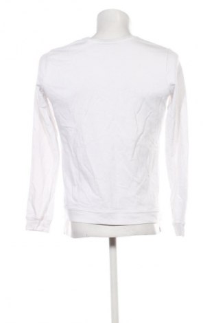 Herren Shirt Colourful Rebel, Größe M, Farbe Weiß, Preis € 11,99