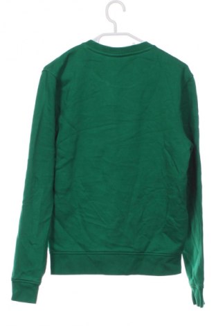 Ανδρική μπλούζα Lacoste, Μέγεθος XS, Χρώμα Πράσινο, Τιμή 39,99 €