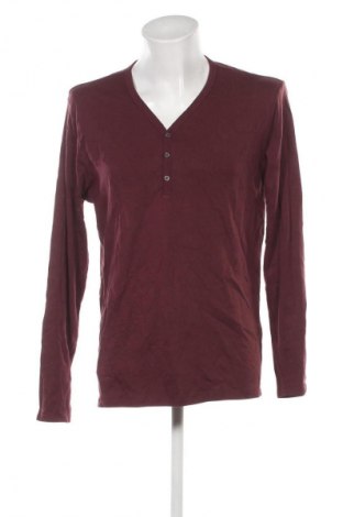 Ανδρική μπλούζα WE, Μέγεθος XXL, Χρώμα Καφέ, Τιμή 6,99 €