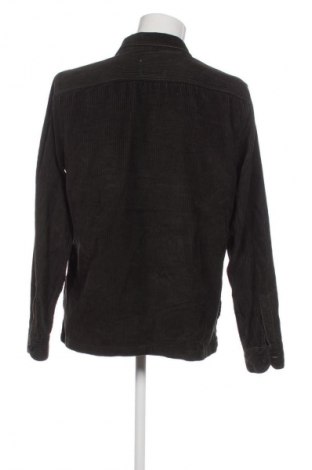 Herrenhemd Hollister, Größe L, Farbe Grün, Preis 14,99 €