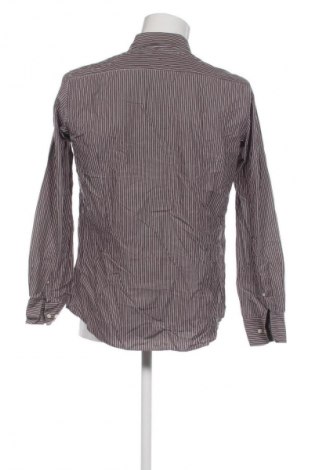 Herrenhemd Massimo Dutti, Größe L, Farbe Mehrfarbig, Preis € 25,99