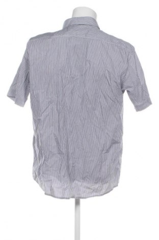 Herrenhemd Tailor & Son, Größe L, Farbe Mehrfarbig, Preis 14,99 €