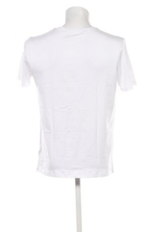 Męski T-shirt Paul Hunter, Rozmiar L, Kolor Biały, Cena 166,99 zł