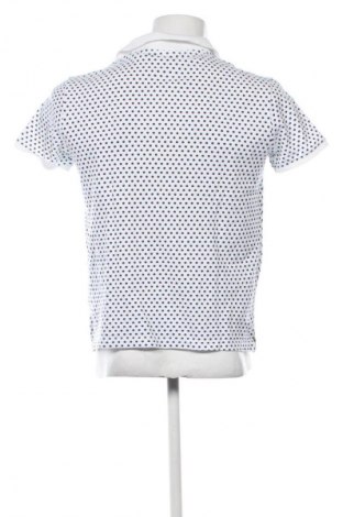 Ανδρικό t-shirt U.S. Polo Assn., Μέγεθος S, Χρώμα Πολύχρωμο, Τιμή 25,00 €