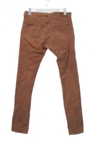 Herren Cordhose Gap, Größe M, Farbe Braun, Preis € 10,99