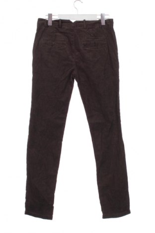 Pánské menčestráky Marc O'Polo, Veľkosť S, Farba Hnedá, Cena  25,95 €