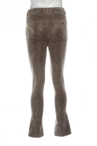 Męskie sztruksy Paul Taylor, Rozmiar S, Kolor Beżowy, Cena 62,99 zł