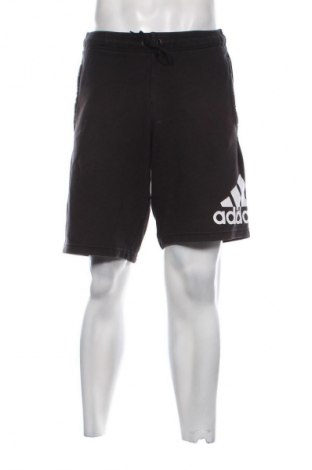 Herren Shorts Adidas, Größe M, Farbe Schwarz, Preis € 17,39