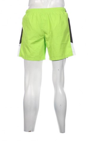 Herren Shorts Lotto, Größe M, Farbe Grün, Preis € 12,99
