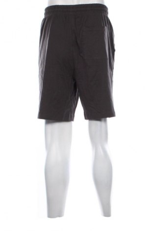 Herren Shorts Next, Größe XL, Farbe Grau, Preis 17,90 €