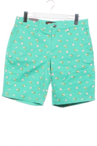 Pánske kraťasy  Fairlane & Sons, Veľkosť S, Farba Viacfarebná, Cena  27,95 €