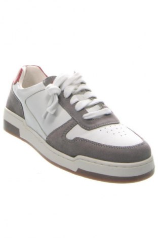 Obuwie męskie Oliver Jacob, Rozmiar 42, Kolor Kolorowy, Cena 207,99 zł