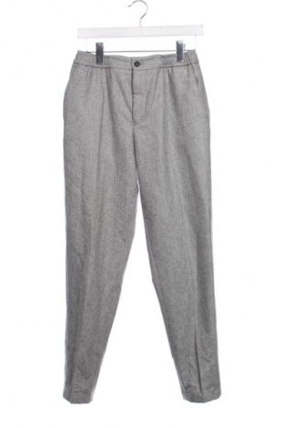 Herrenhose NO LABEL, Größe S, Farbe Grau, Preis € 29,99