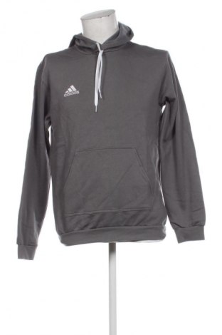 Herren Sweatshirt Adidas, Größe M, Farbe Grau, Preis € 67,99