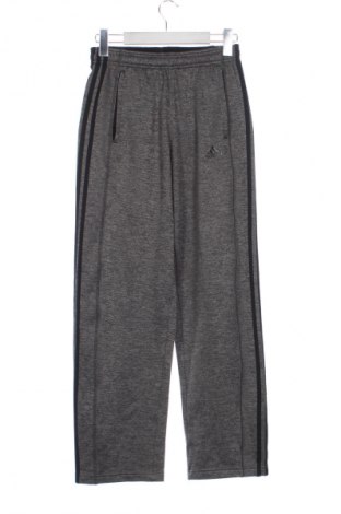 Herren Sporthose Adidas, Größe XS, Farbe Grau, Preis € 24,55
