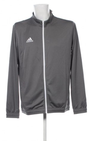 Pánský športový vrch Adidas, Veľkosť XL, Farba Sivá, Cena  65,95 €