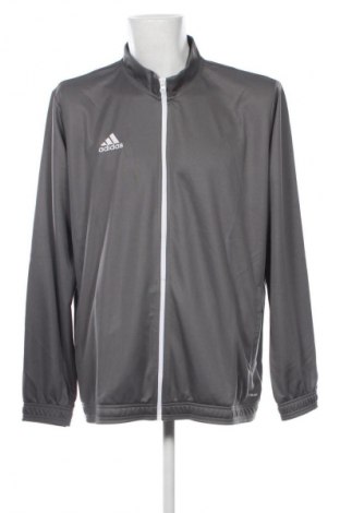 Pánský športový vrch Adidas, Veľkosť XL, Farba Sivá, Cena  65,95 €