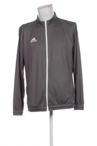 Pánský športový vrch Adidas, Veľkosť XL, Farba Sivá, Cena  65,95 €