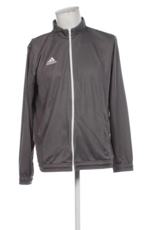 Herren Sportoberteil Adidas, Größe XL, Farbe Grau, Preis 71,99 €