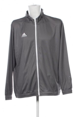 Pánský športový vrch Adidas, Veľkosť XXL, Farba Sivá, Cena  65,95 €