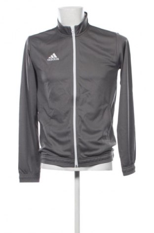 Bluză trening de bărbați Adidas, Mărime M, Culoare Gri, Preț 342,99 Lei
