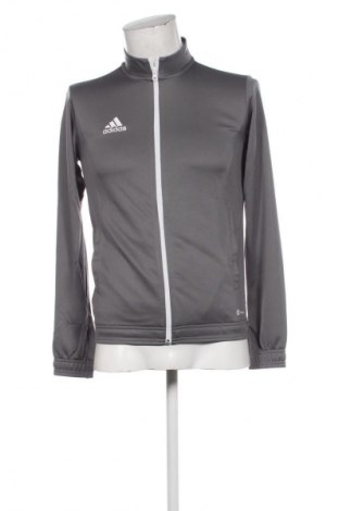 Herren Sportoberteil Adidas, Größe S, Farbe Grau, Preis € 72,99