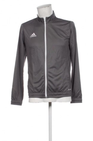 Męska bluza sportowa Adidas, Rozmiar M, Kolor Szary, Cena 290,99 zł