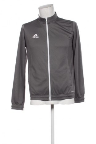 Męska bluza sportowa Adidas, Rozmiar M, Kolor Szary, Cena 209,99 zł