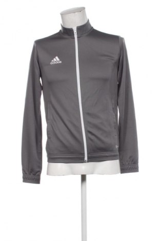 Męska bluza sportowa Adidas, Rozmiar S, Kolor Szary, Cena 290,99 zł
