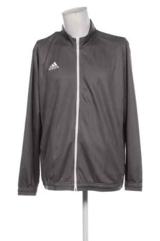 Herren Sportoberteil Adidas, Größe XXL, Farbe Grau, Preis 71,99 €
