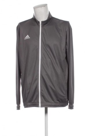 Herrenjacke Adidas, Größe XXL, Farbe Grau, Preis € 127,99
