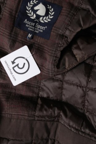 Ανδρικό μπουφάν Ascot Sport, Μέγεθος M, Χρώμα Καφέ, Τιμή 31,99 €