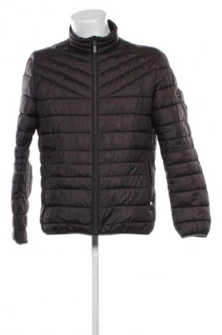 Ανδρικό μπουφάν Bigotti, Μέγεθος L, Χρώμα Καφέ, Τιμή 49,18 €