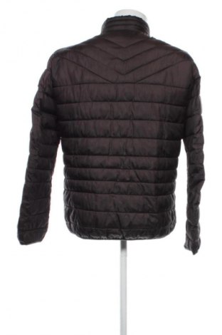 Ανδρικό μπουφάν Bigotti, Μέγεθος L, Χρώμα Καφέ, Τιμή 49,18 €