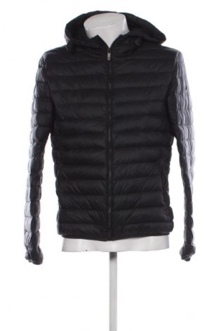 Pánská bunda  Massimo Dutti, Velikost L, Barva Modrá, Cena  1 217,00 Kč