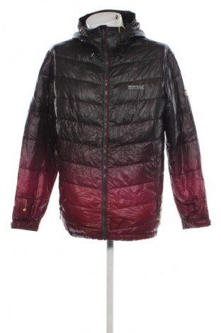 Pánska bunda  Regatta, Veľkosť XL, Farba Viacfarebná, Cena  30,95 €