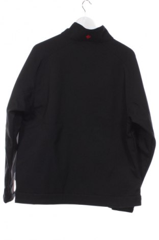 Ανδρικό μπουφάν Strauss, Μέγεθος L, Χρώμα Μαύρο, Τιμή 25,99 €