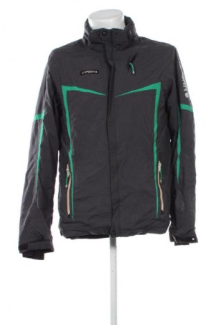 Pánska bunda pre zimné športy Icepeak, Veľkosť L, Farba Sivá, Cena  62,95 €
