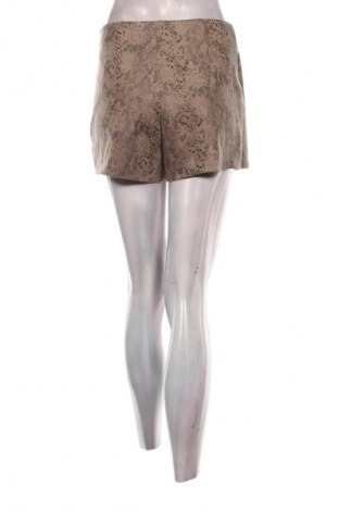 Παντελονόφουστα Zara, Μέγεθος S, Χρώμα Πολύχρωμο, Τιμή 8,99 €