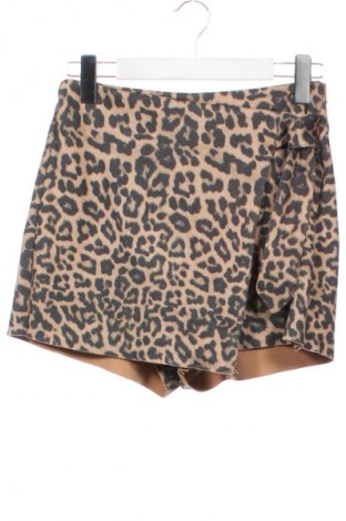 Παντελονόφουστα Zara, Μέγεθος XS, Χρώμα Πολύχρωμο, Τιμή 9,99 €