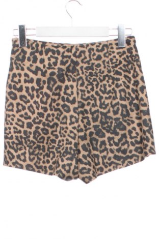 Παντελονόφουστα Zara, Μέγεθος XS, Χρώμα Πολύχρωμο, Τιμή 9,99 €