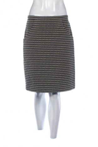 Φούστα Anne Klein, Μέγεθος M, Χρώμα Πολύχρωμο, Τιμή 28,13 €